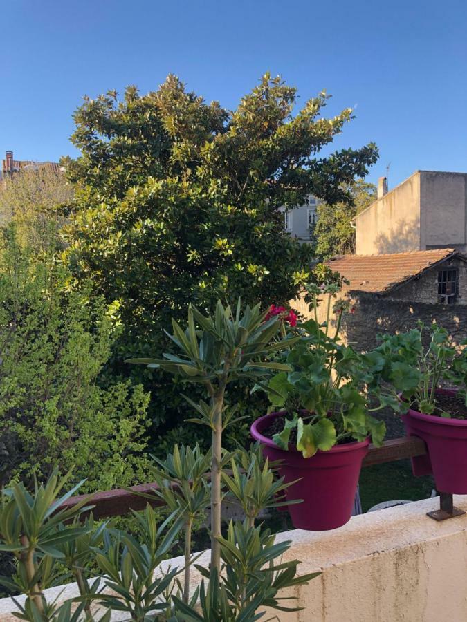 B&B - Le Jardin Du Palais Carcassonne Bagian luar foto